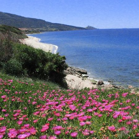 אפרטהוטל ואלדוריה Residenza Sul Mare מראה חיצוני תמונה